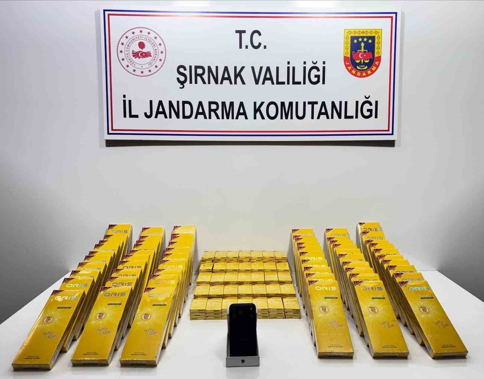 Şırnak&rsquo;ta jandarmadan asayiş, ka&ccedil;ak&ccedil;ılık ve narkotik operasyonu

