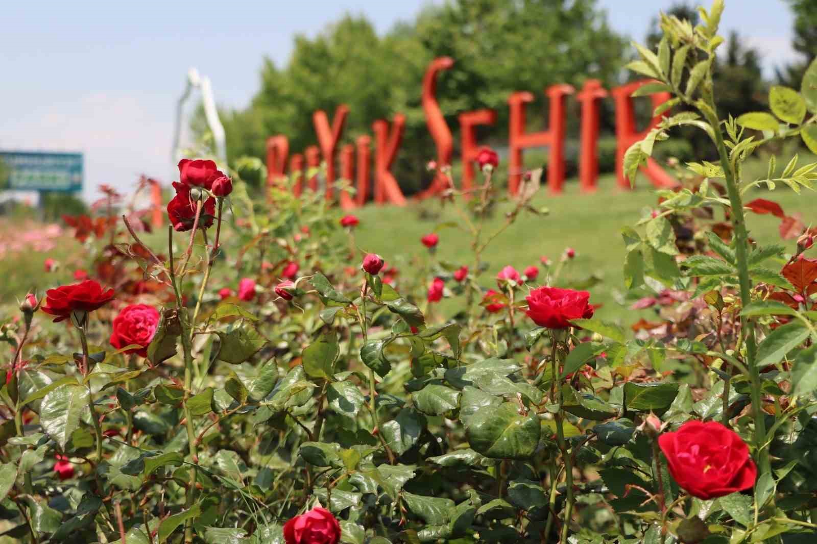 Şanlıurfa &ccedil;i&ccedil;eklerle donatıldı
