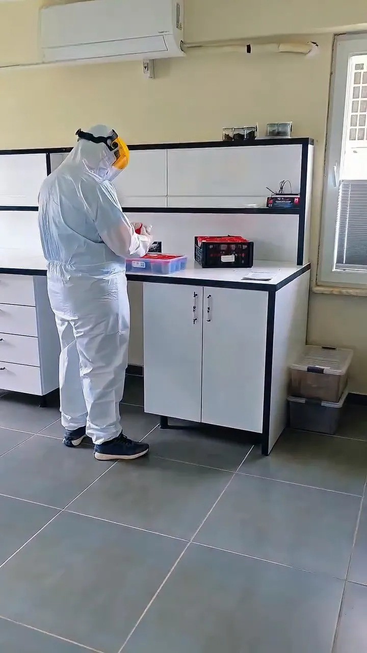 Sinop ormanlarında biyolojik mücadele güçleniyor