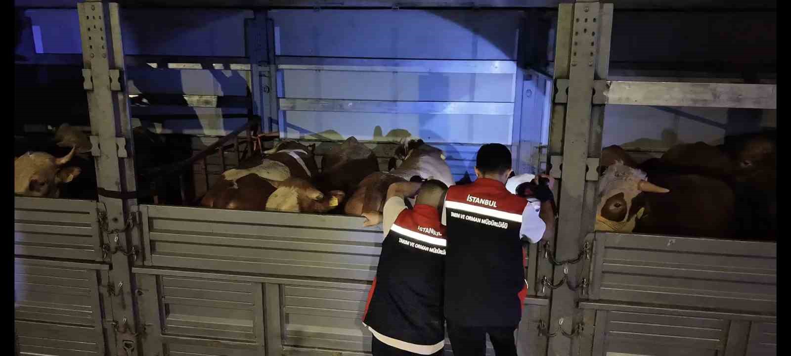 Kurban Bayramı &ouml;ncesi İstanbul&rsquo;da sevk noktalarında yoğun mesai
