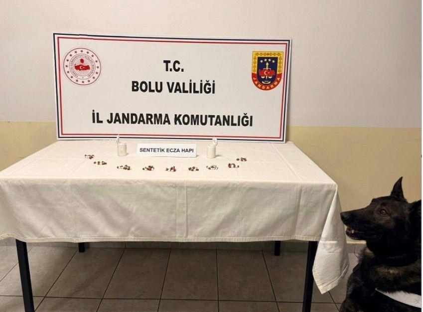 Bolu’da jandarmadan uyuşturucu operasyonu: 1 tutuklama