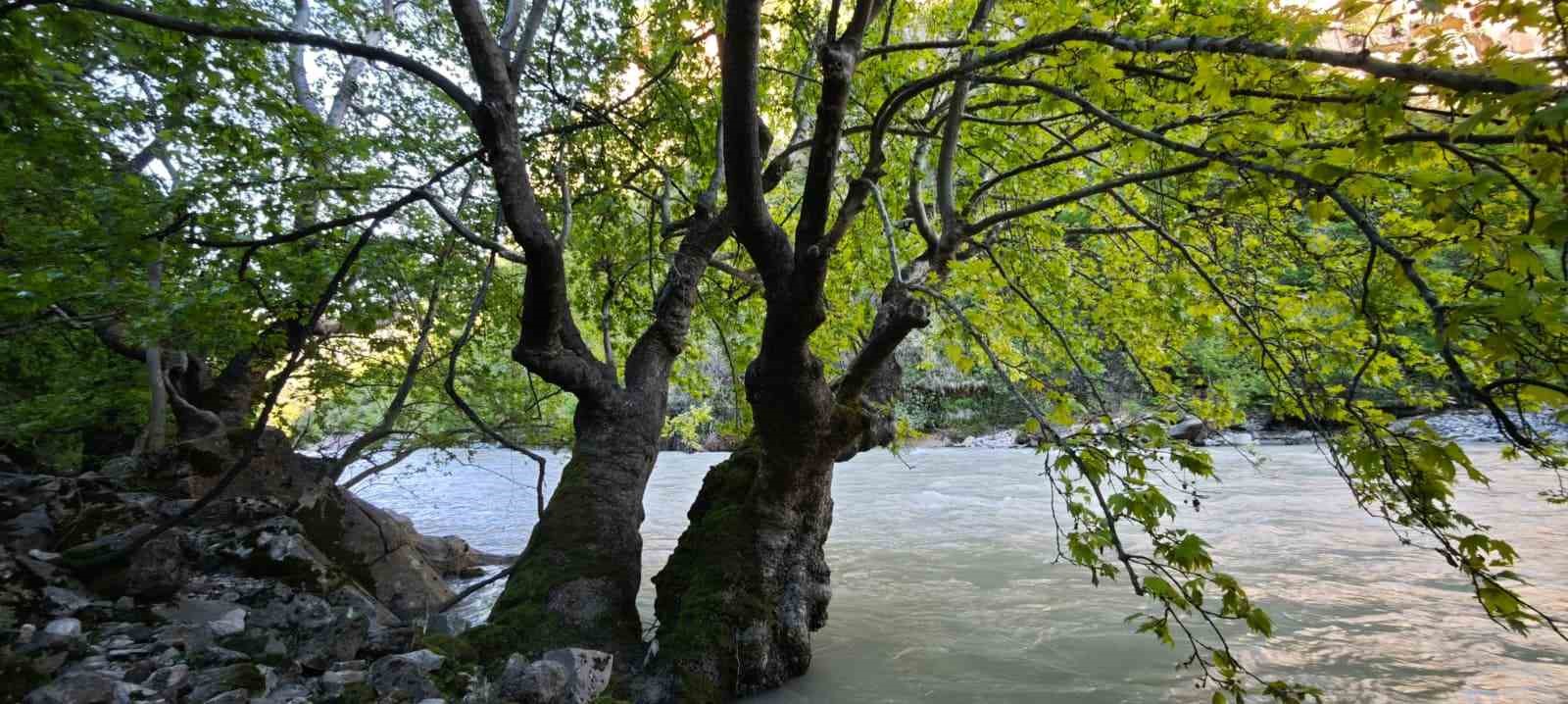 Zore Kanyonu ve Şelalesi g&ouml;renleri hayran bırakıyor
