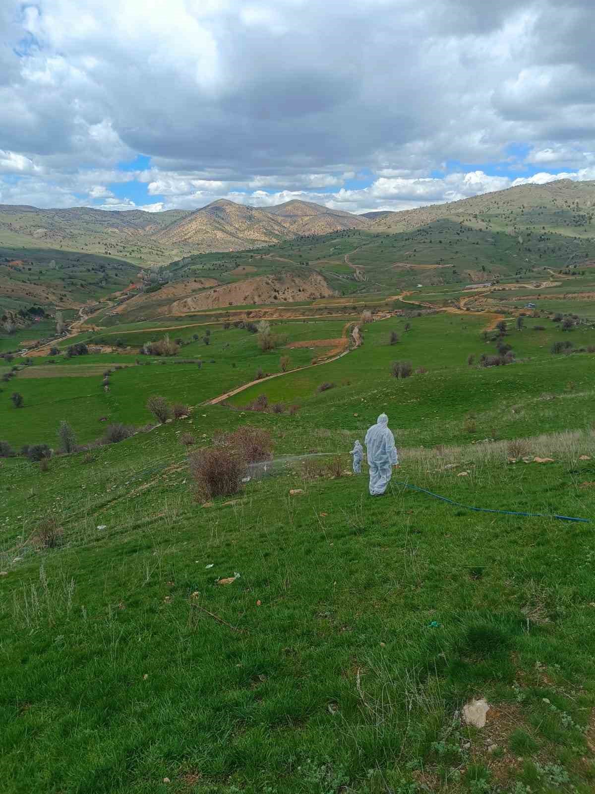 Gümüşhane’de çekirge istilasına uğrayan köyde ilaçlama çalışması başlatıldı