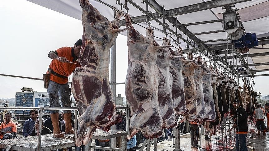 Uzunköprü’de "Kurban Kesim Elemanı Kursu" açılıyor