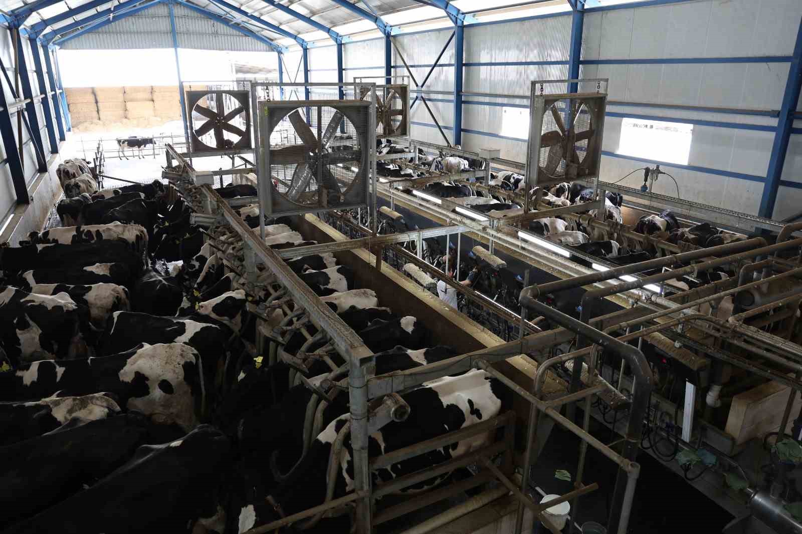 Bilim toplumun her kesimiyle bir araya geliyor
