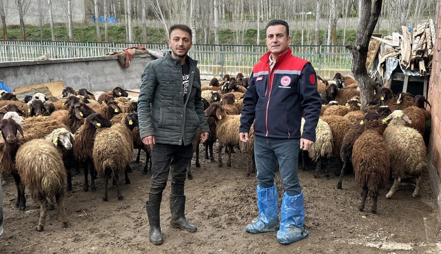 Aydıntepe’de kırsal üretimi destekleyen projede kontroller sürüyor