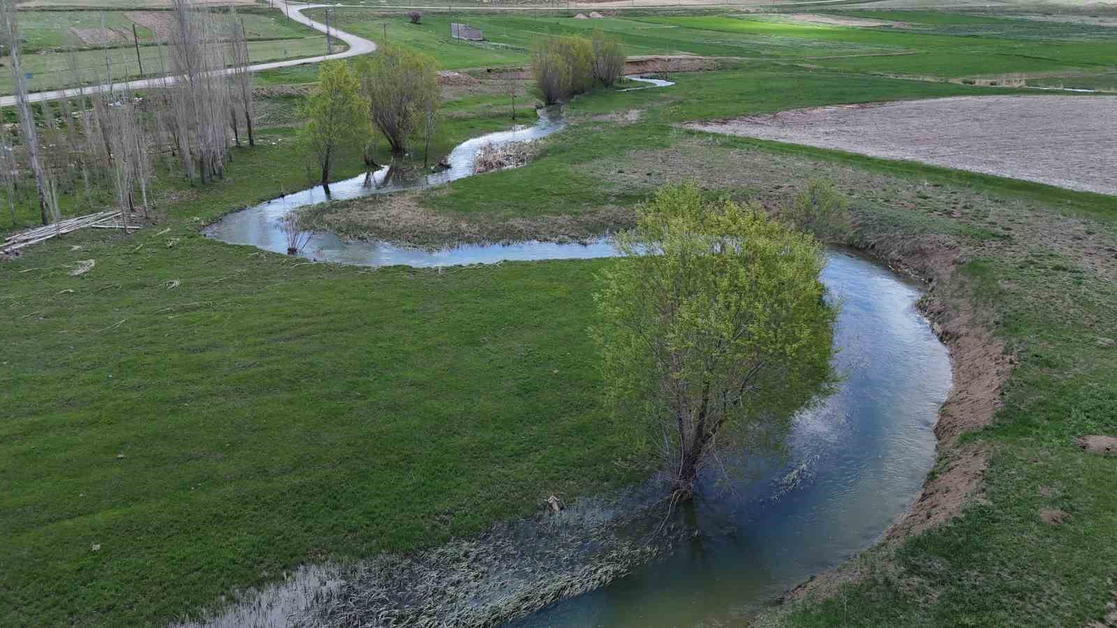Bozkırda nadir g&ouml;r&uuml;len menderes ıslah &ouml;ncesi dron ile g&ouml;r&uuml;nt&uuml;lendi
