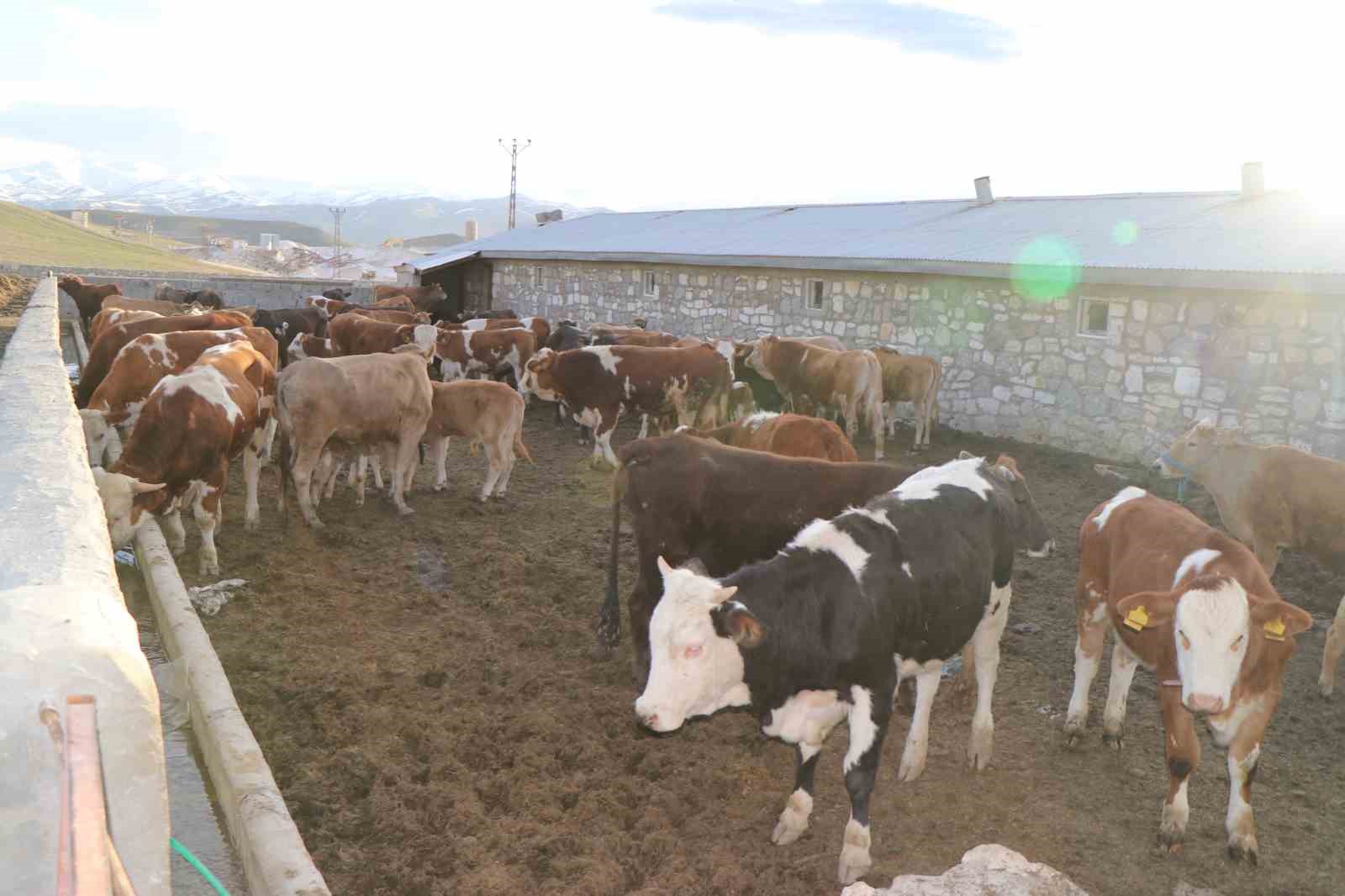 Diyadin&rsquo;de besicilik ge&ccedil;im kapısı oldu

