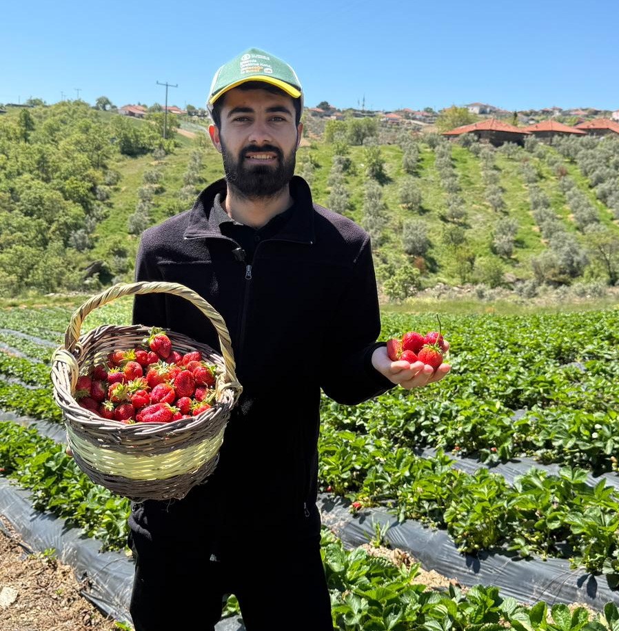 Salihli&rsquo;de g&ouml;n&uuml;ll&uuml; gen&ccedil;ler &ccedil;ilek hasadı yaptı
