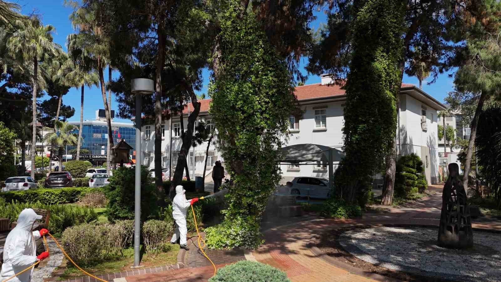 Alanya’da Akdeniz çam kabuk böceğine karşı ortak mücadele başlatıldı