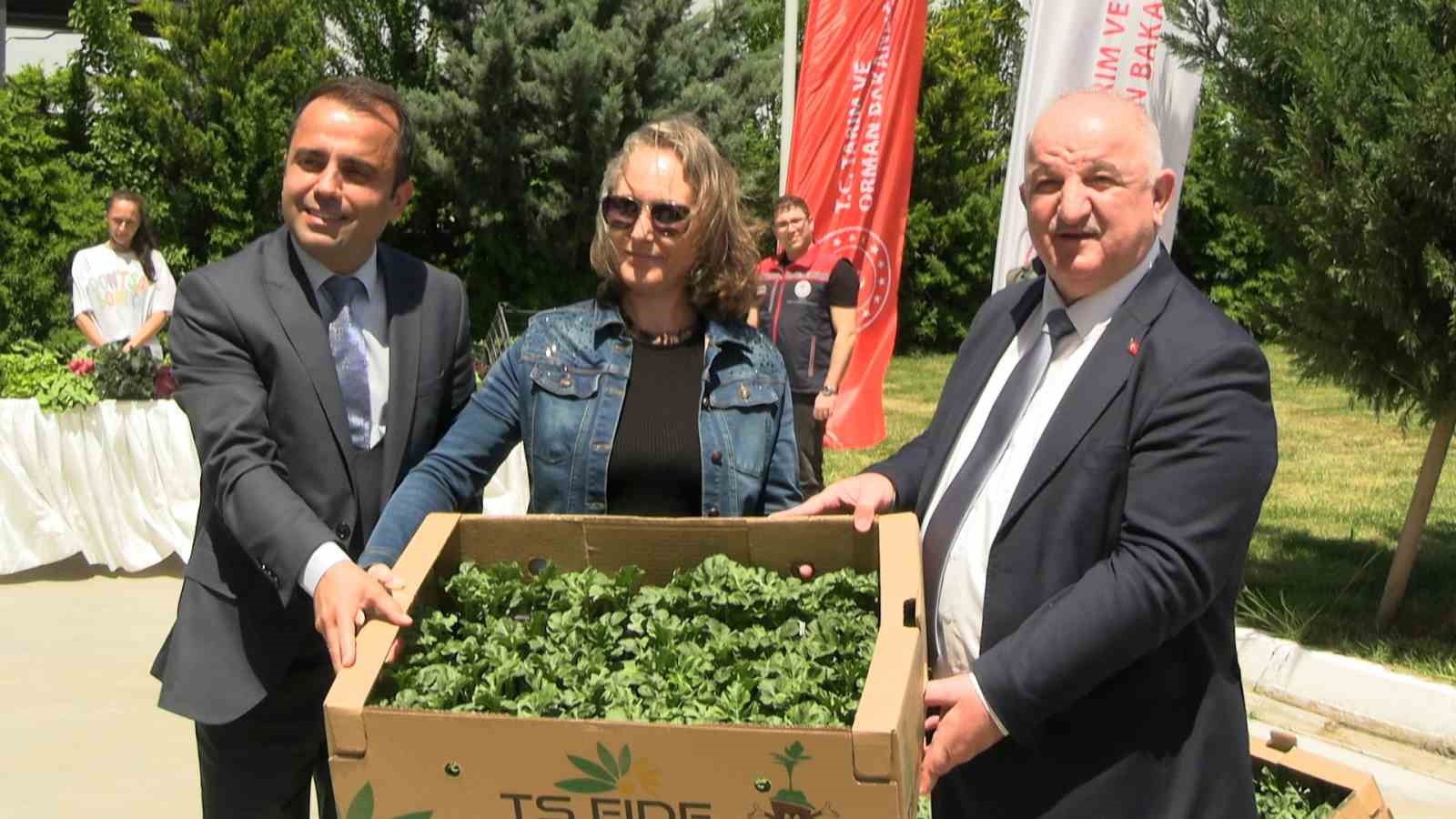 Edirne’de karpuz fideleri üreticiyle buluştu: 63 çiftçiye 60 bin fide dağıtıldı
