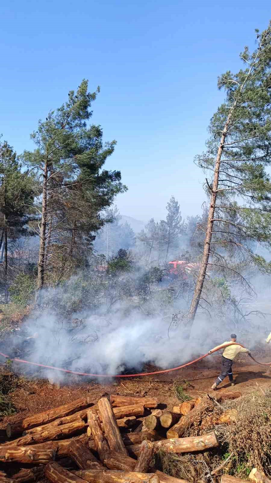 Hatay&rsquo;da ormanı yangını &ccedil;ıktı

