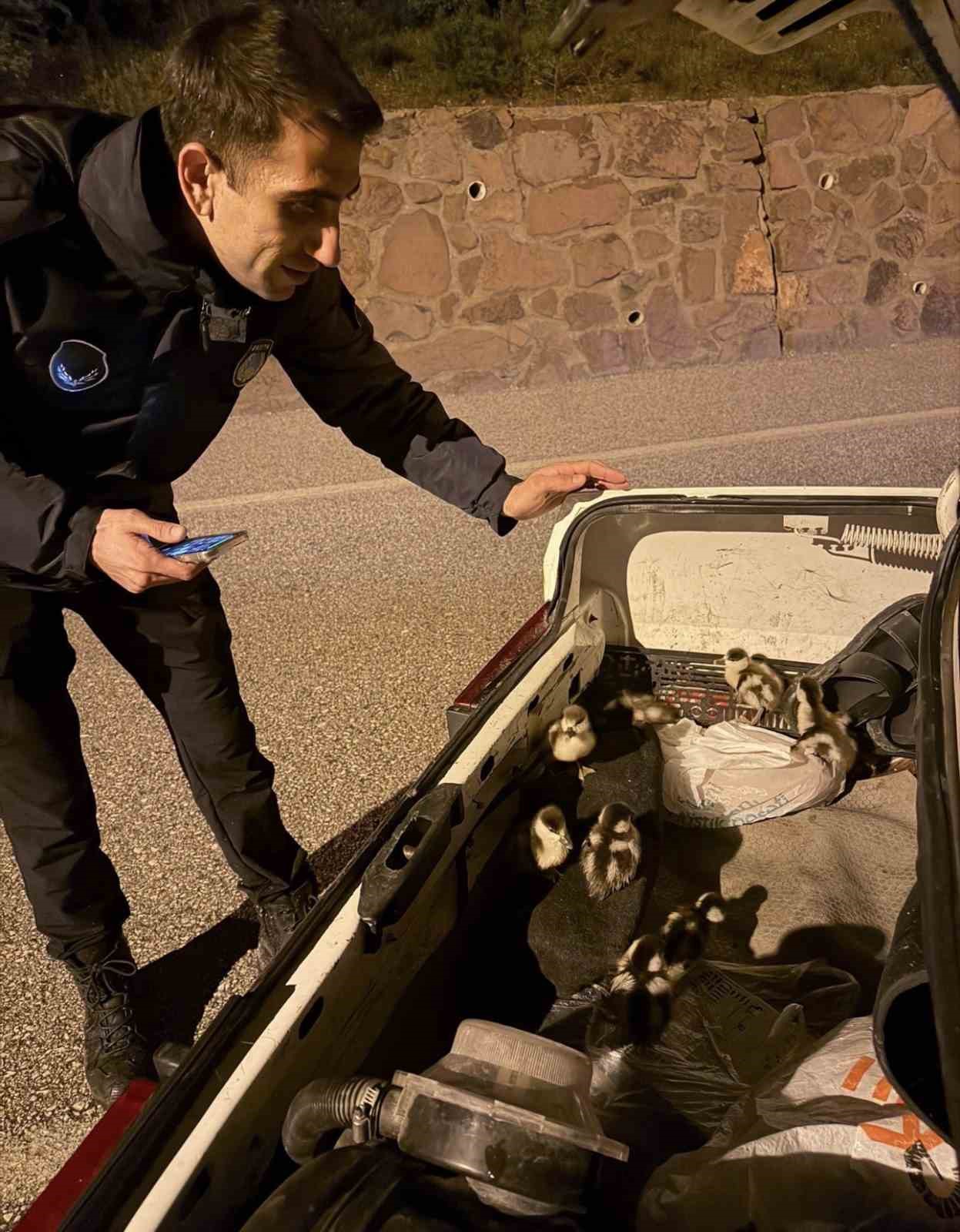 Selden etkilenen ördekler koruma altına alındı
