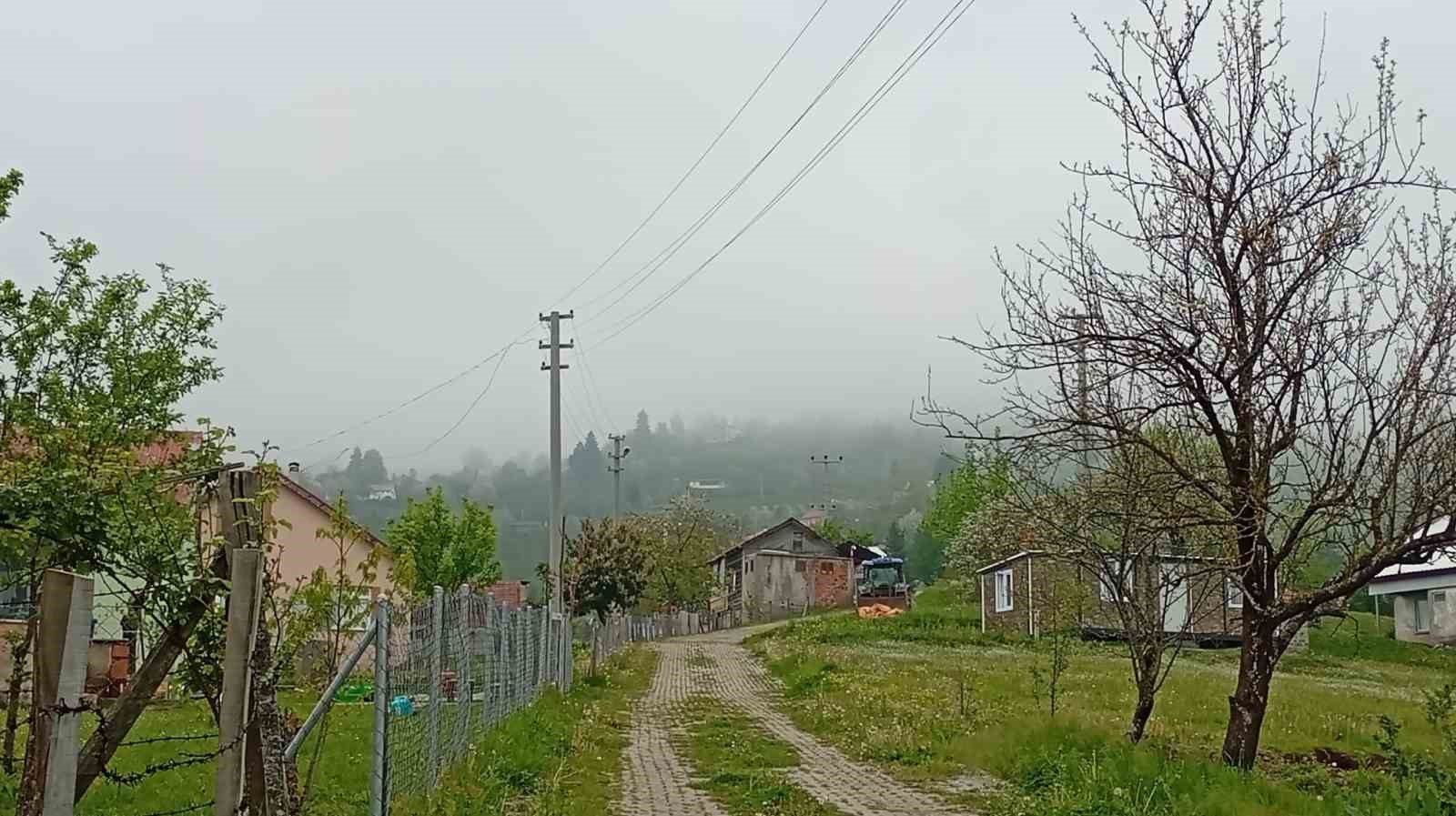 Hendek’in yüksek kesimlerinde bahar ve sis bir arada
