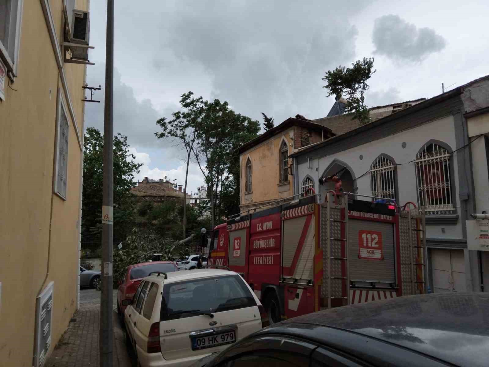 Rüzgarda devrilen ağaç park halindeki araçlara zarar verdi
