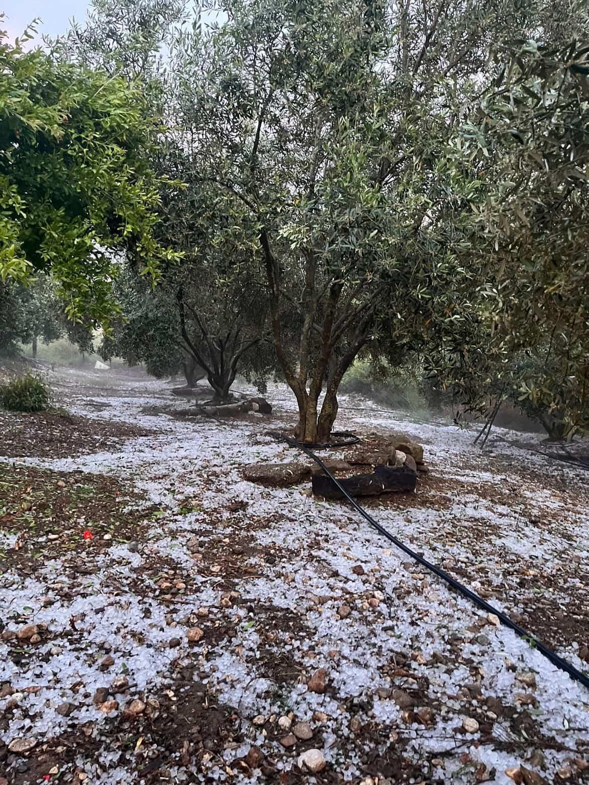 Şiddetli doluyu hem kaydetti hem dua etti
