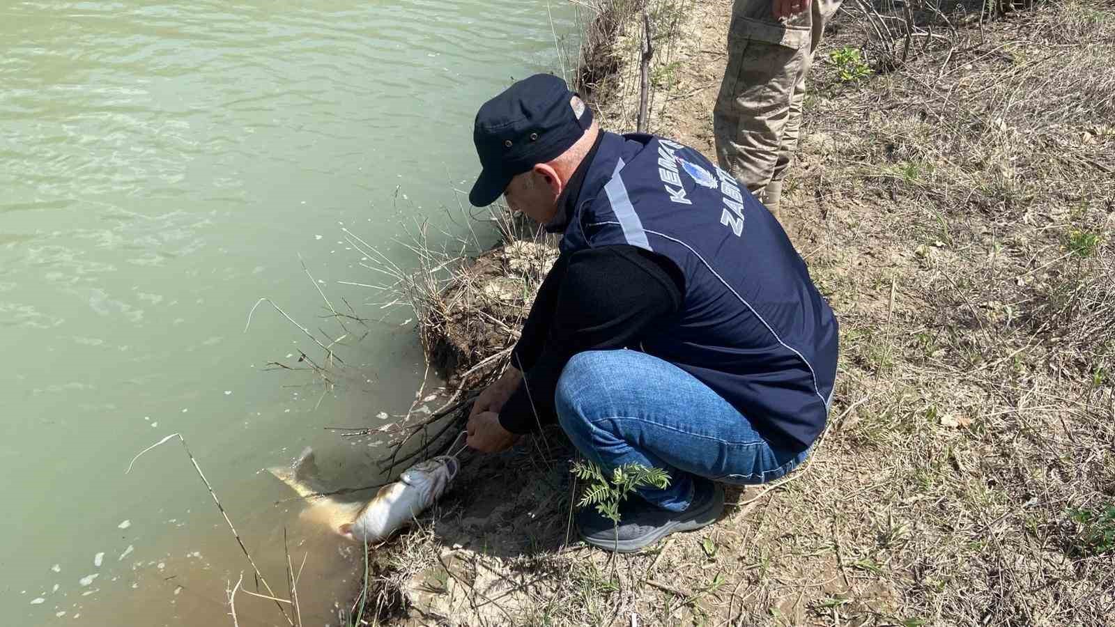 Karasu Nehri’nde kaçak avcılığa karşı denetim yapıldı