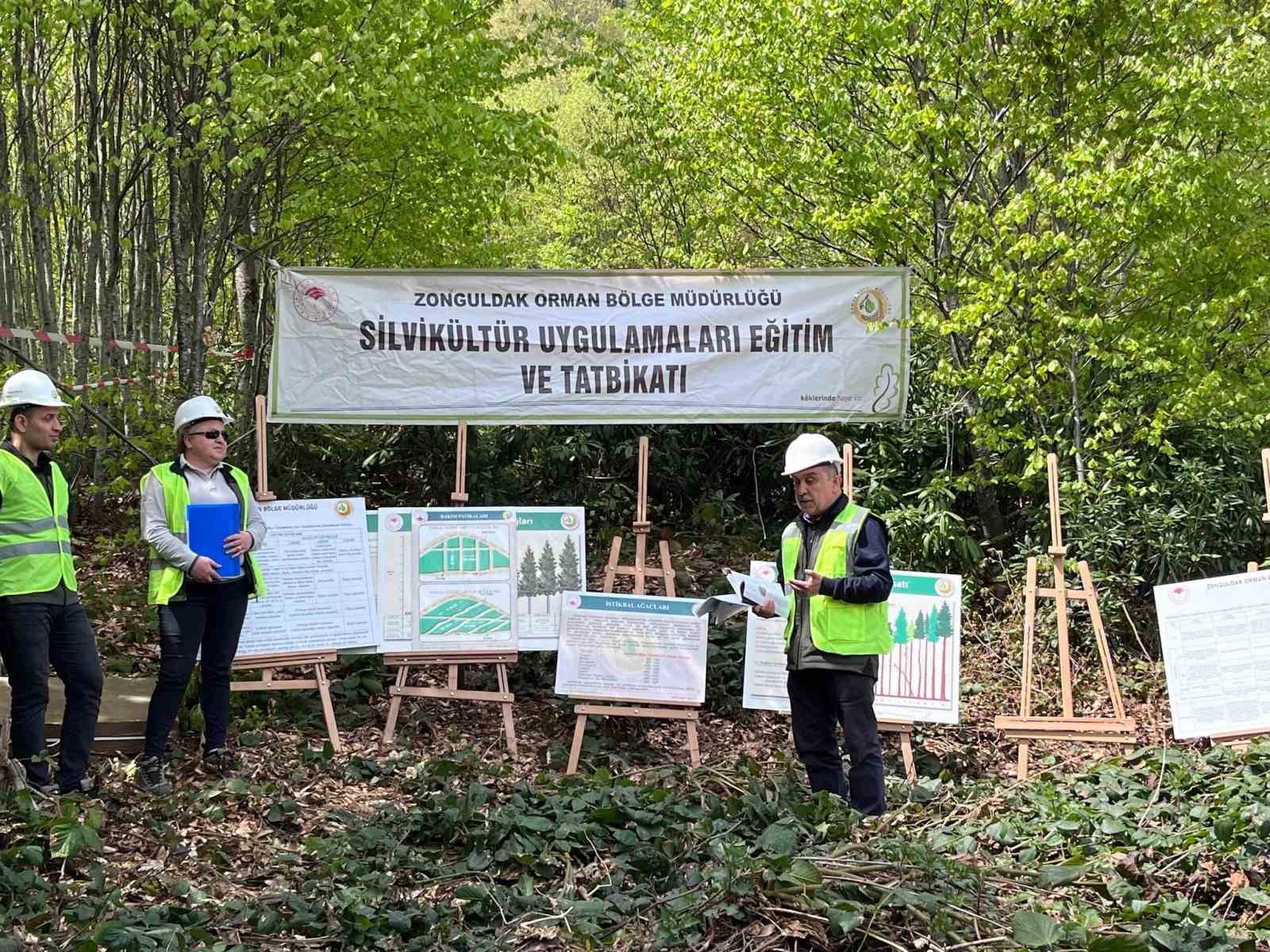 Silvikültür eğitim tatbikatı Yenice’de tamamlandı
