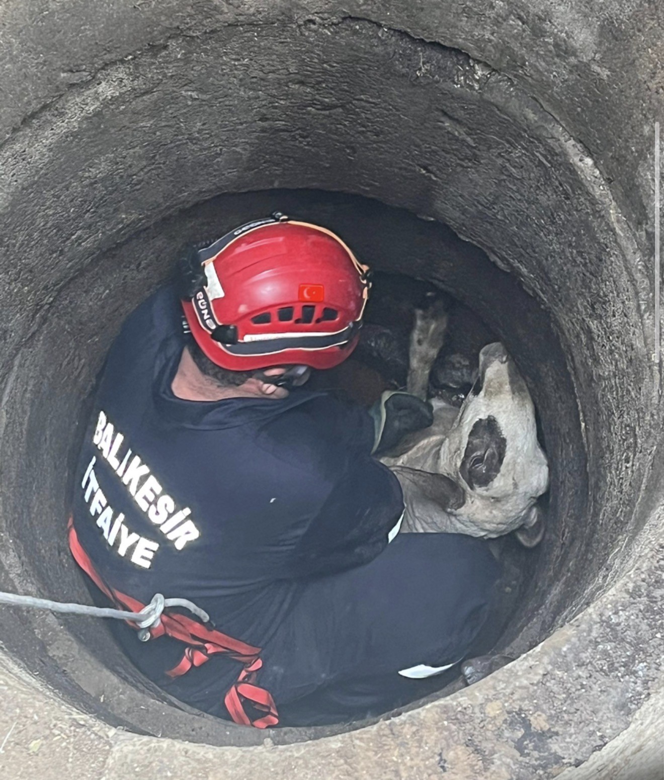 G&ouml;nen&rsquo;de 6 metrelik kuyuya d&uuml;şen koyun operasyonla kurtarıldı
