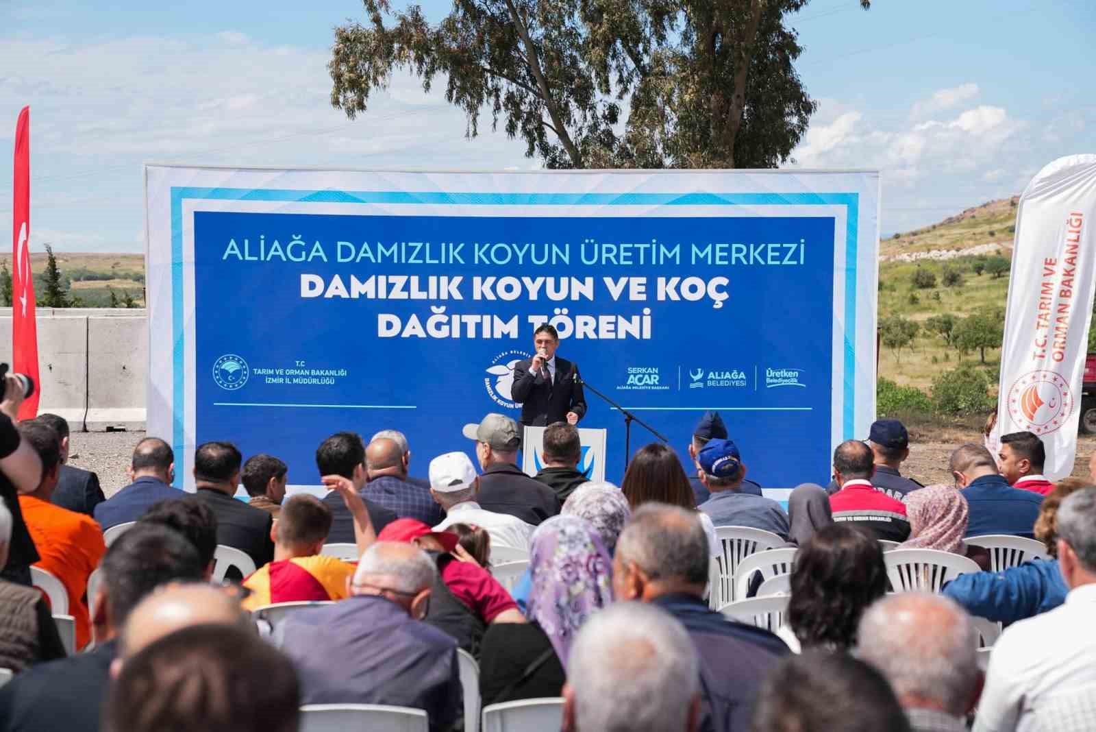 Aliağa&rsquo;da &uuml;&ccedil;&uuml;nc&uuml; etap damızlık k&uuml;&ccedil;&uuml;kbaş dağıtımı yapıldı
