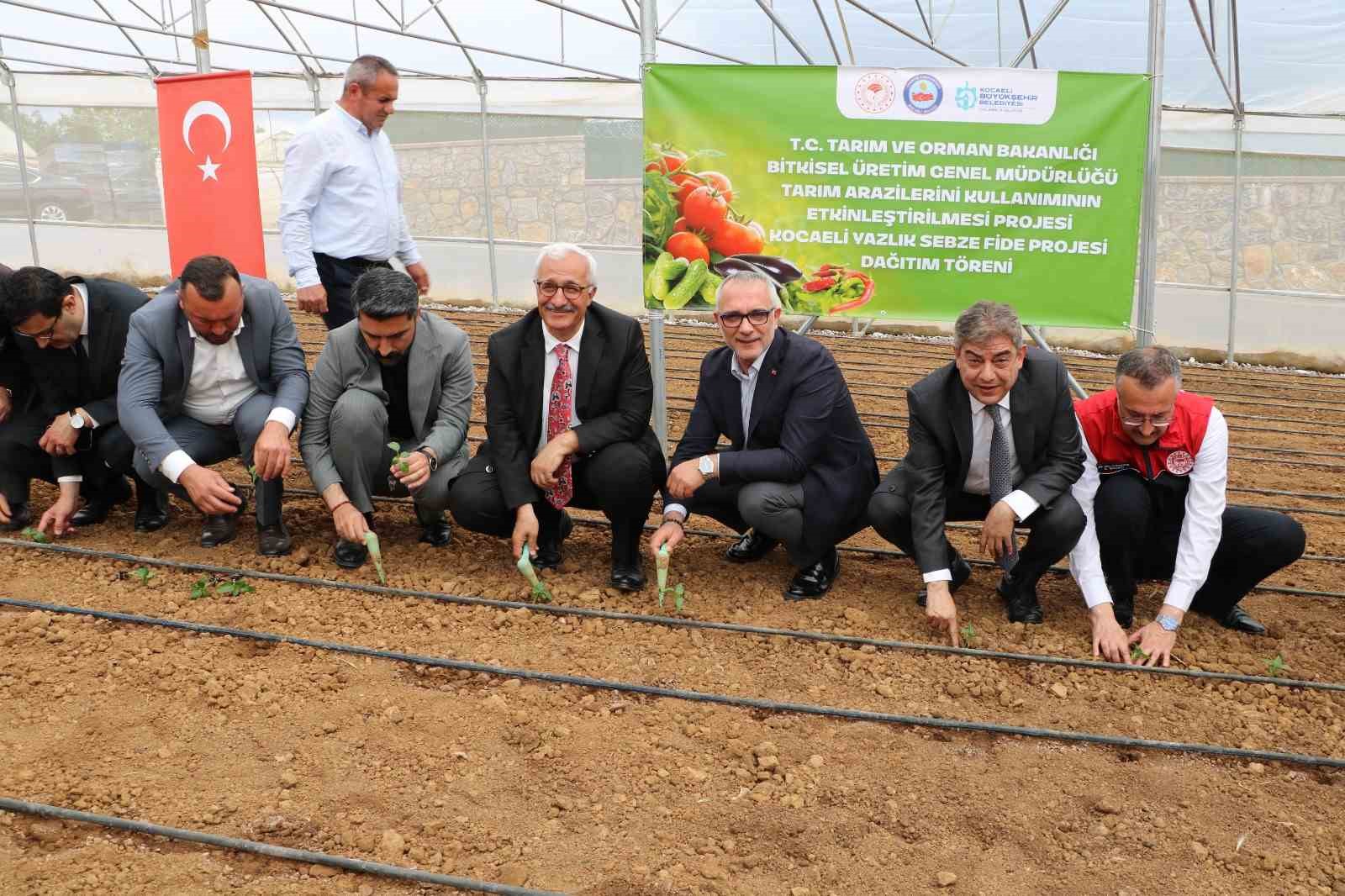 Gebzeli &ccedil;ift&ccedil;iye 500 bin sebze fidesi desteği

