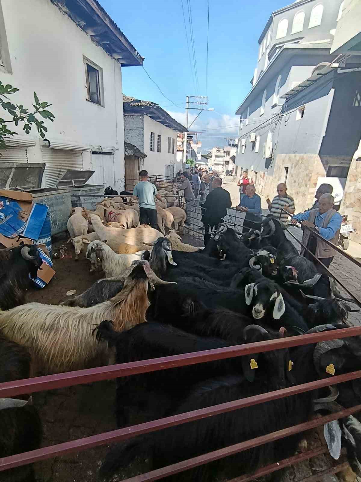 Bozdoğan Yazıkent&rsquo;te Kurban Pazarı hareketlendi
