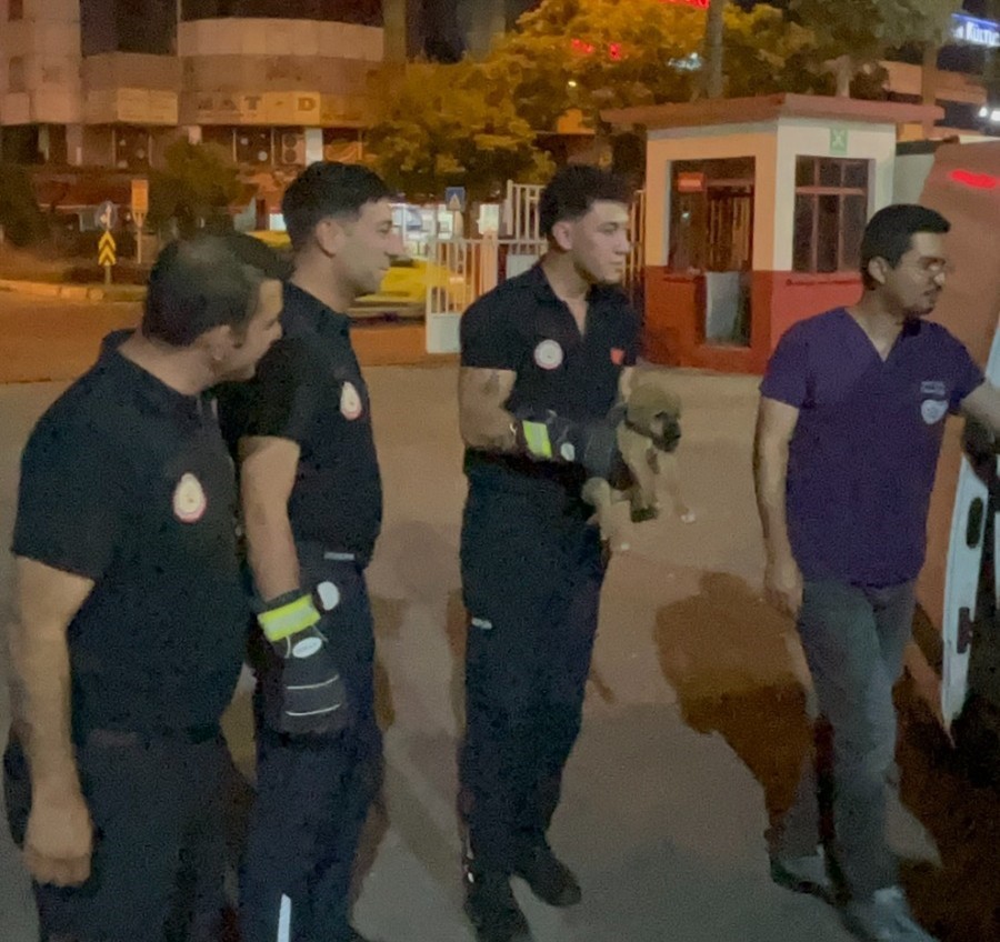 Otomobilin motoruna sıkışan yavru köpeği itfaiye kurtardı