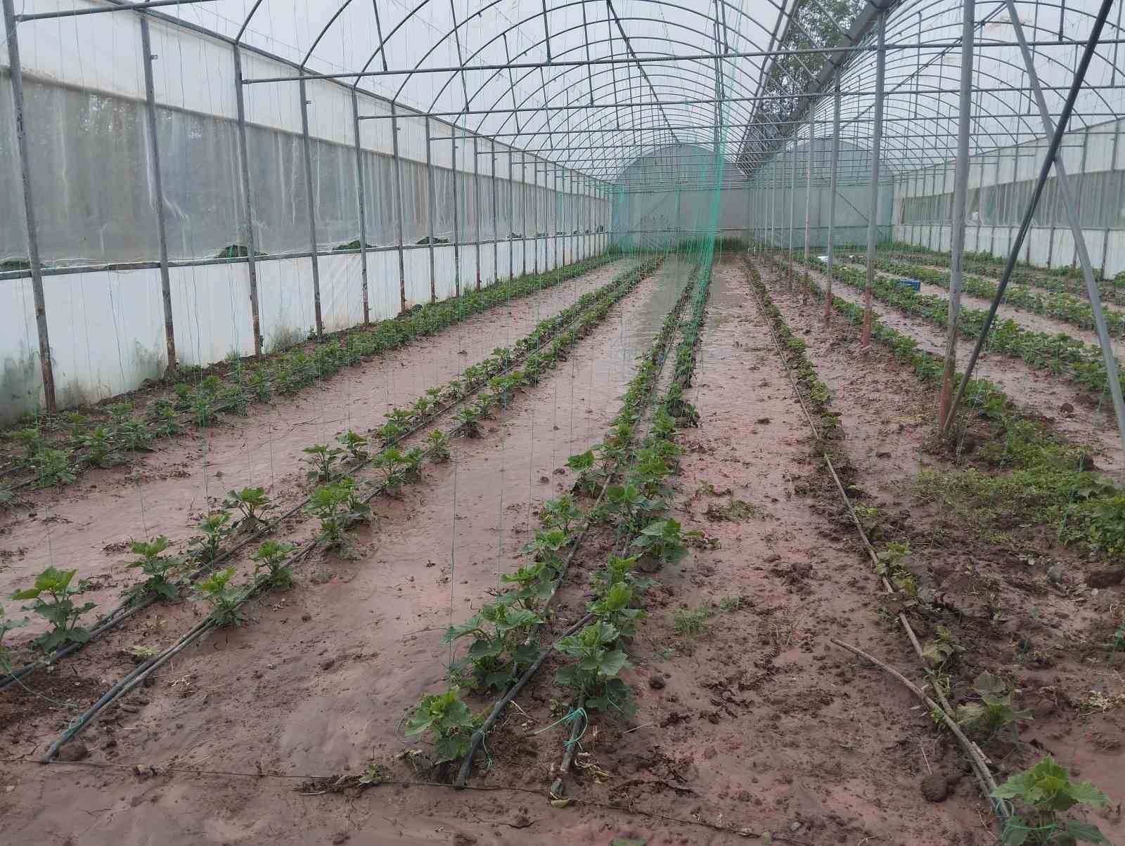 Sivas’ta dere taştı: Sera ve bahçeler sular altında kaldı