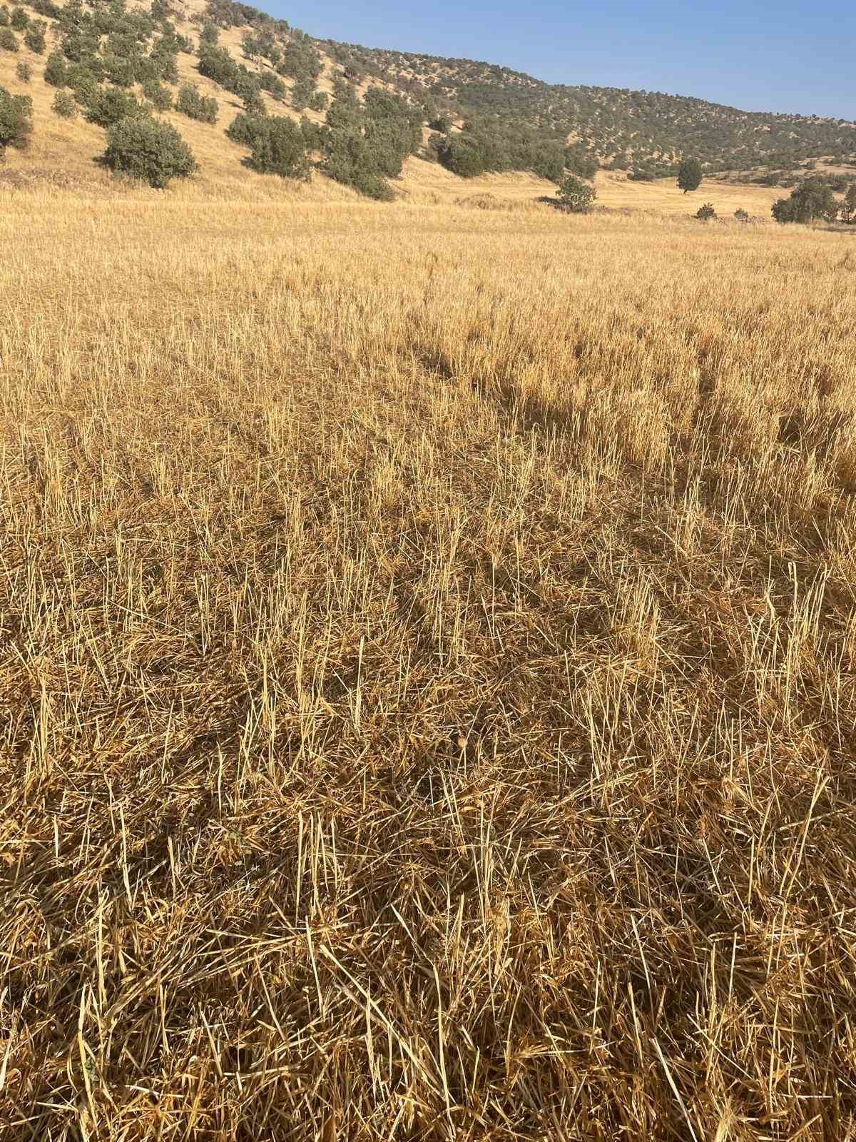 Mardin&rsquo;de bir ailenin malları talan edildi
