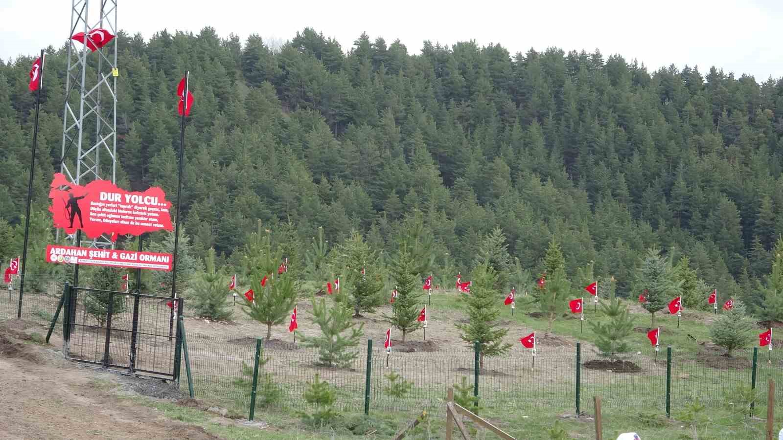 "Şehit ve Gazi Ormanı" d&uuml;zenlenen t&ouml;renle a&ccedil;ıldı
