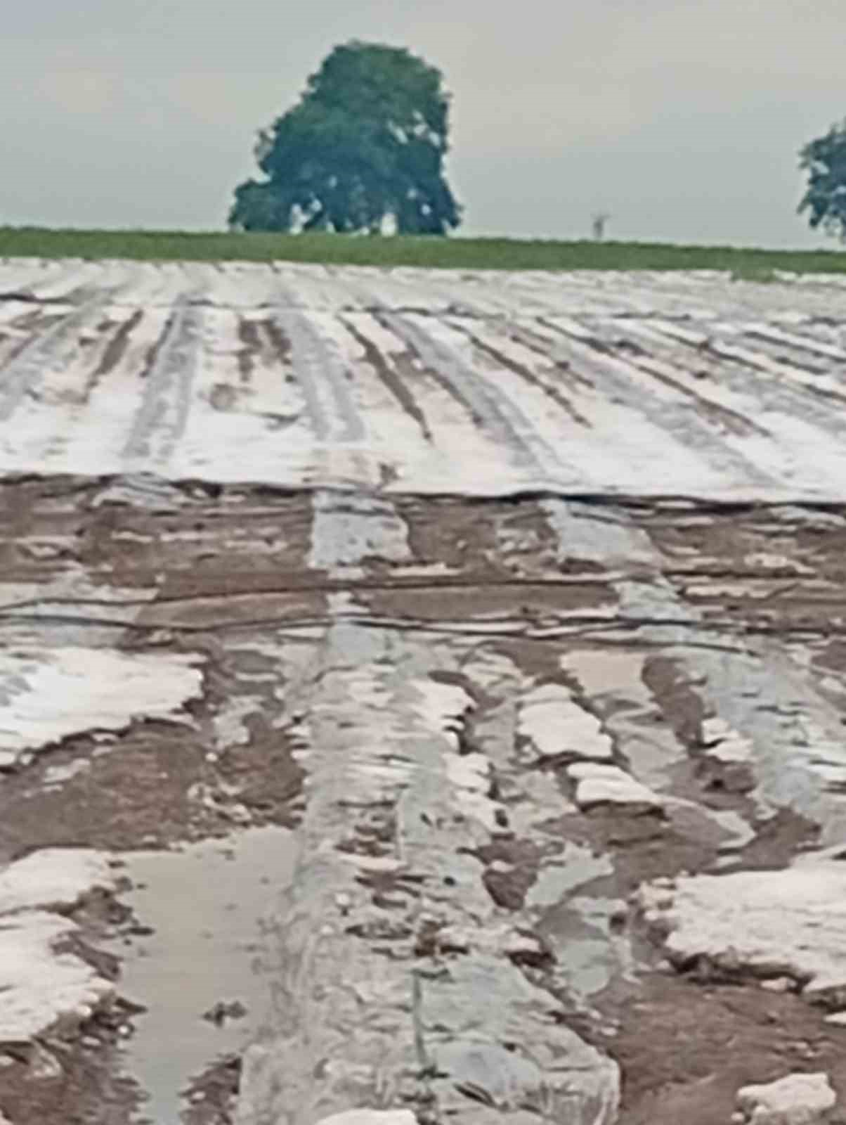 Adana&rsquo;da dolu yağışı etkili oldu
