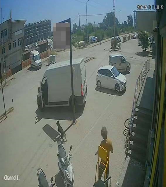 Antalya&rsquo;da yabancı uyruklu şahıs kedinin &uuml;zerine bastı, k&ouml;peği tekmeledi
