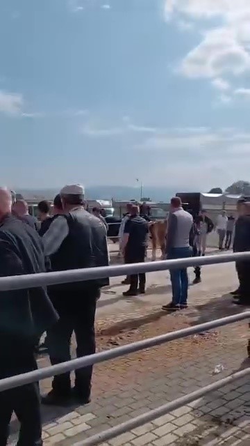 Kurban pazarında kavga: Jandarma havaya ateş a&ccedil;tı, kadın astsubay araya girdi
