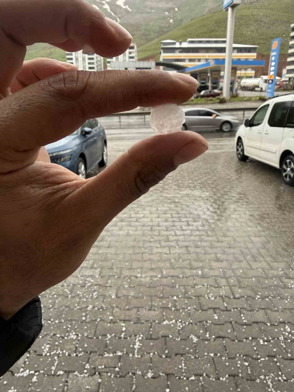 Tatvan&rsquo;da dolu yağışı etkili oldu
