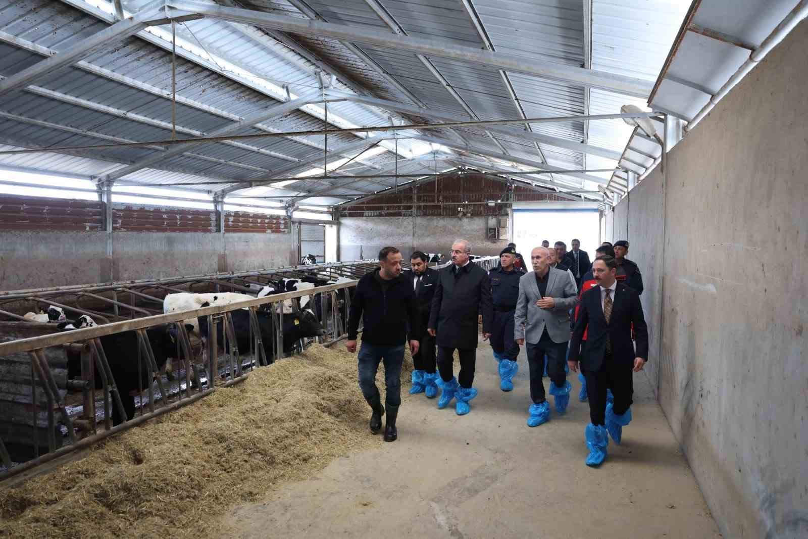 Kurban Bayramı &ouml;ncesi hayvancılık işletmelerinde inceleme
