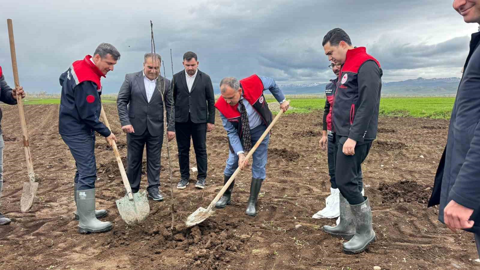 Ağrı&rsquo;da 2 bin 500 &ccedil;ift&ccedil;iye 50 bin meyve fidanı dağıtıldı
