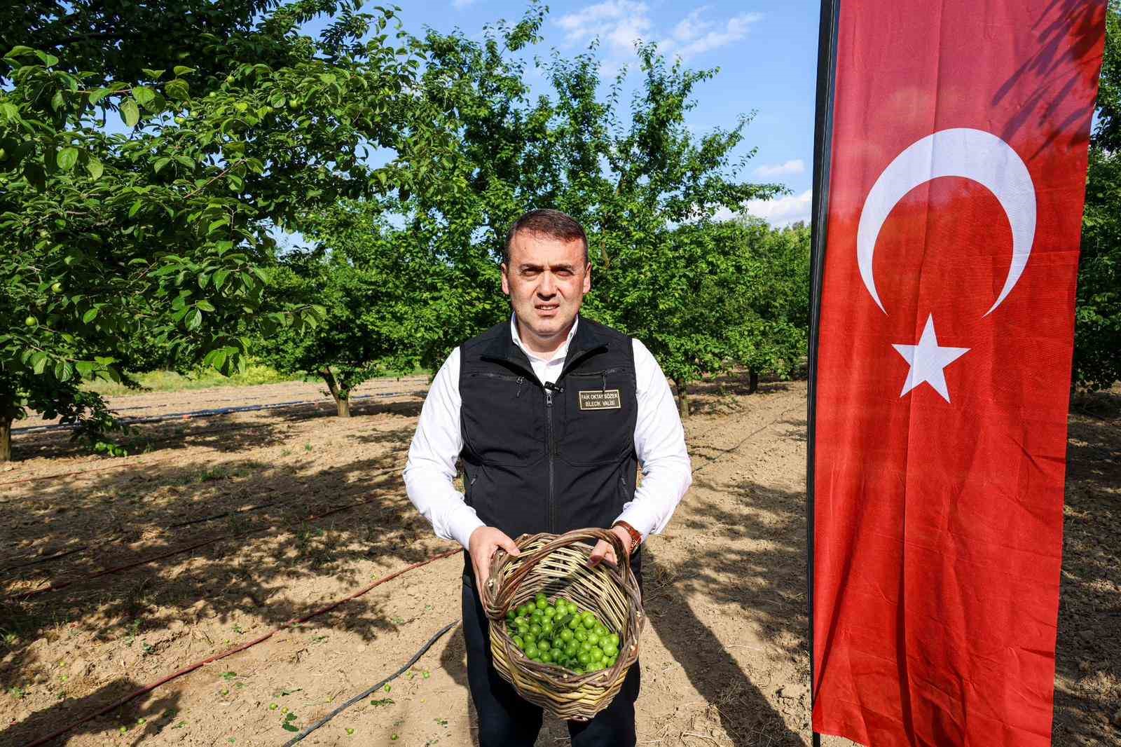 Bilecik&rsquo;te can eriği hasadı başladı
