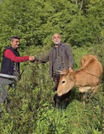 Osmaniye’de uçuruma düşen düve 5 saatlik operasyonla kurtarıldı