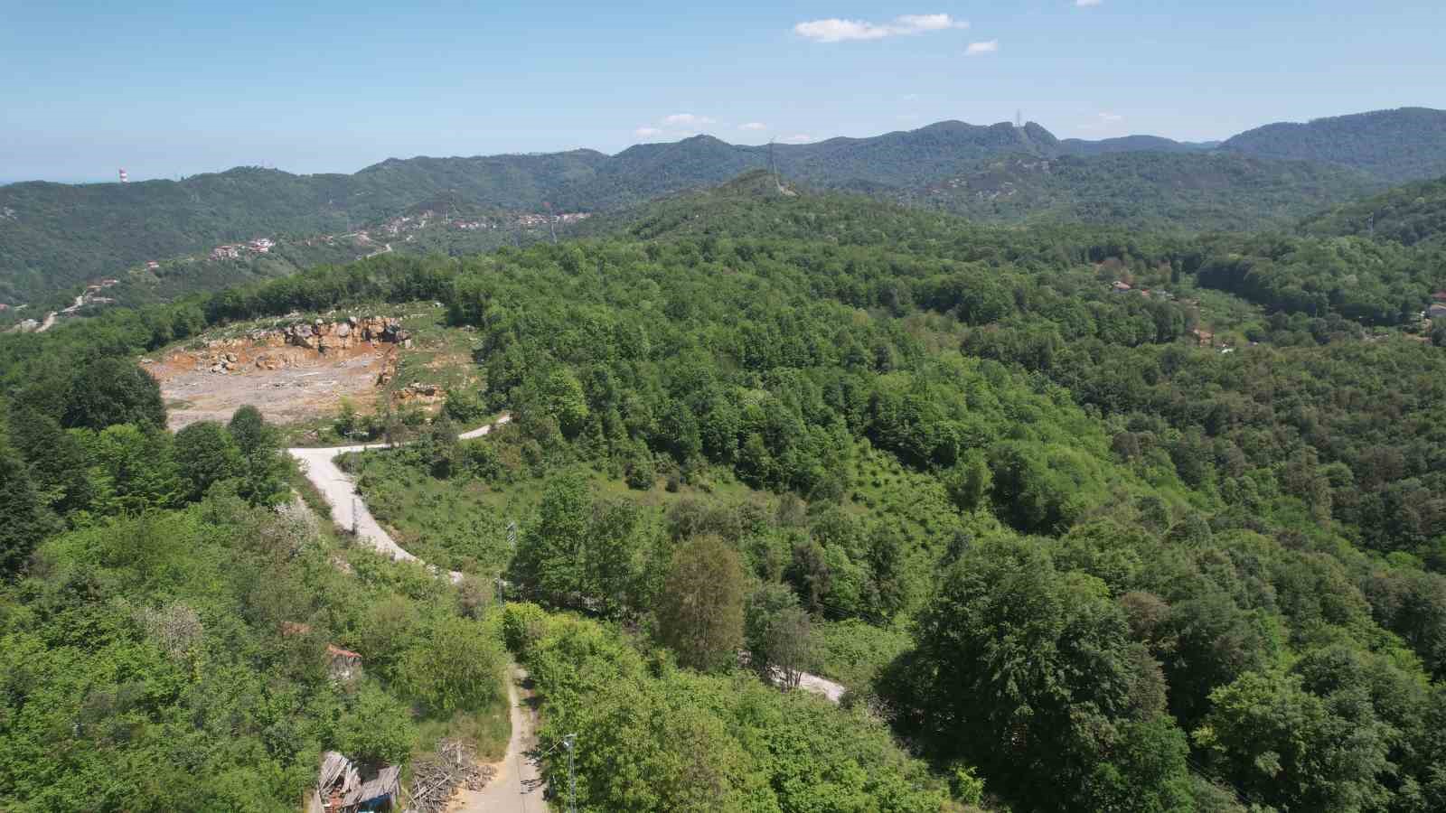 Zonguldak ormanları baharın gelişiyle dronla g&ouml;r&uuml;nt&uuml;lendi
