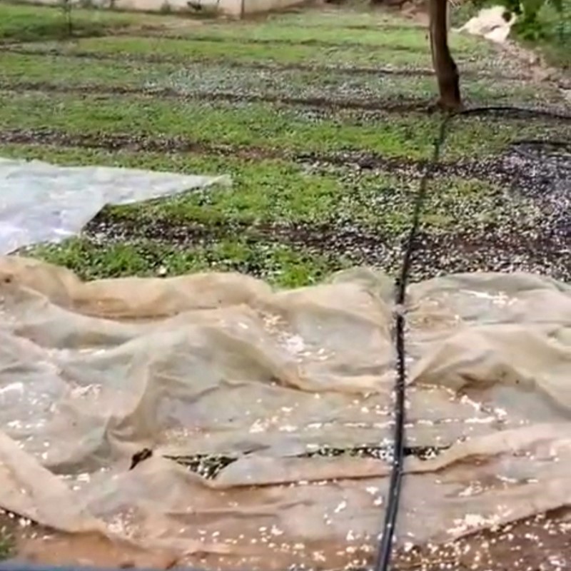 Siirt&rsquo;te sağanak yağış sele neden oldu, iş yerleri ve seralar zarar g&ouml;rd&uuml;
