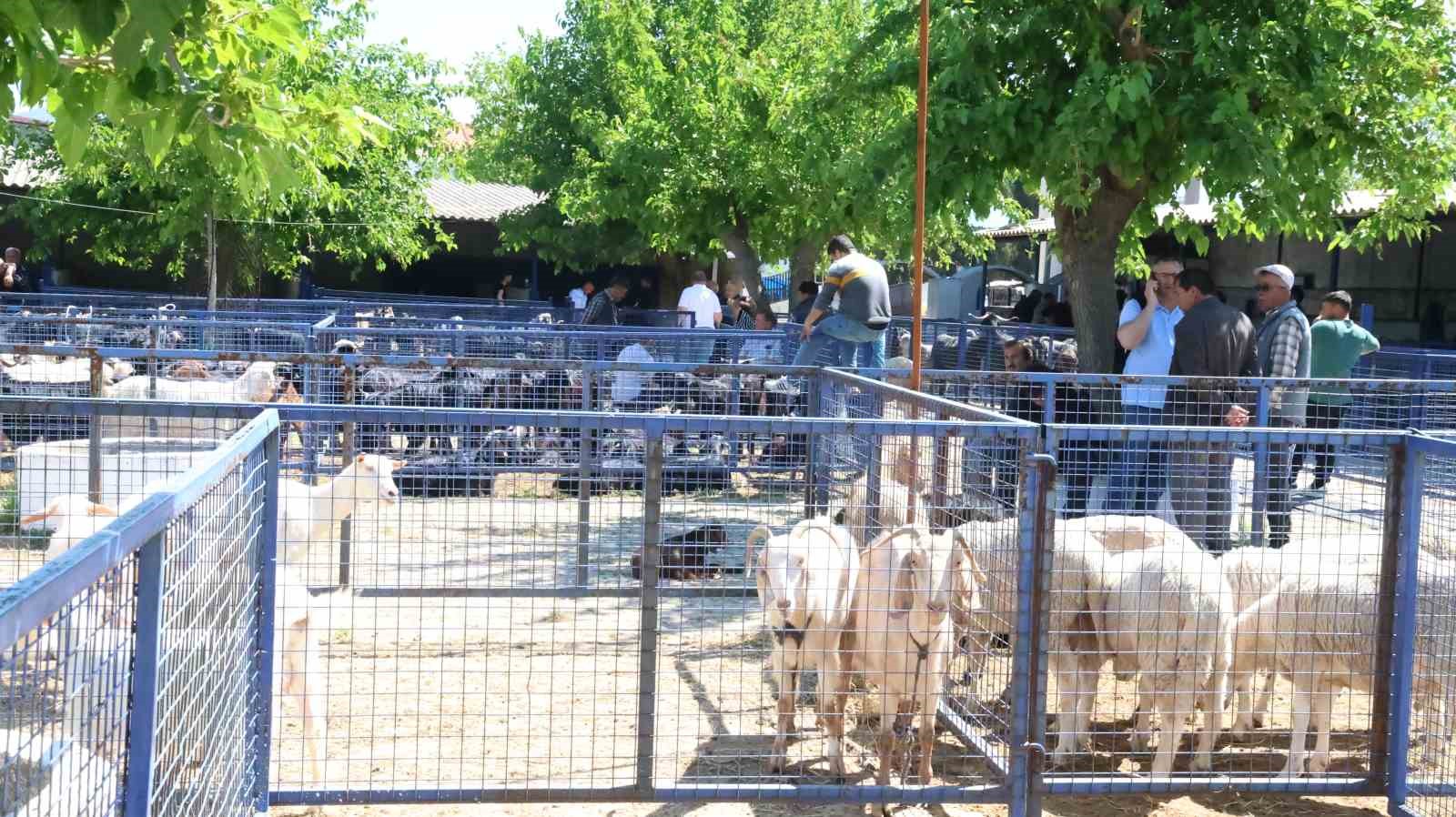 Muğla&rsquo;da kurbanlık satışları devam ediyor
