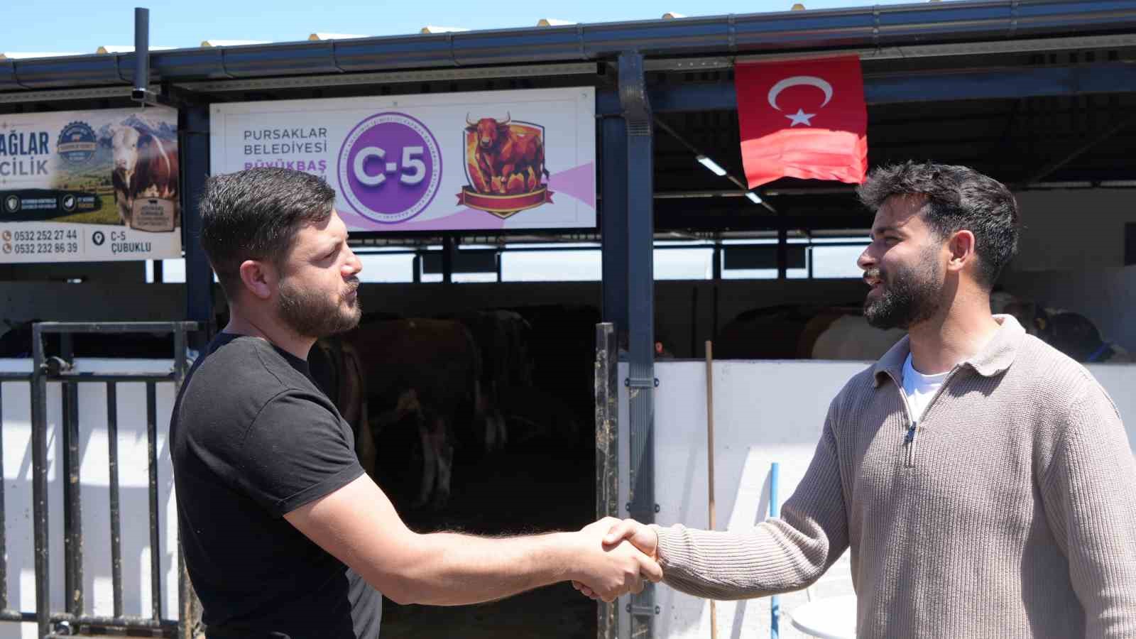Tonluk develer ve danalar g&ouml;r&uuml;c&uuml;ye &ccedil;ıktı: Kurban pazarının g&ouml;zdesi develer oldu
