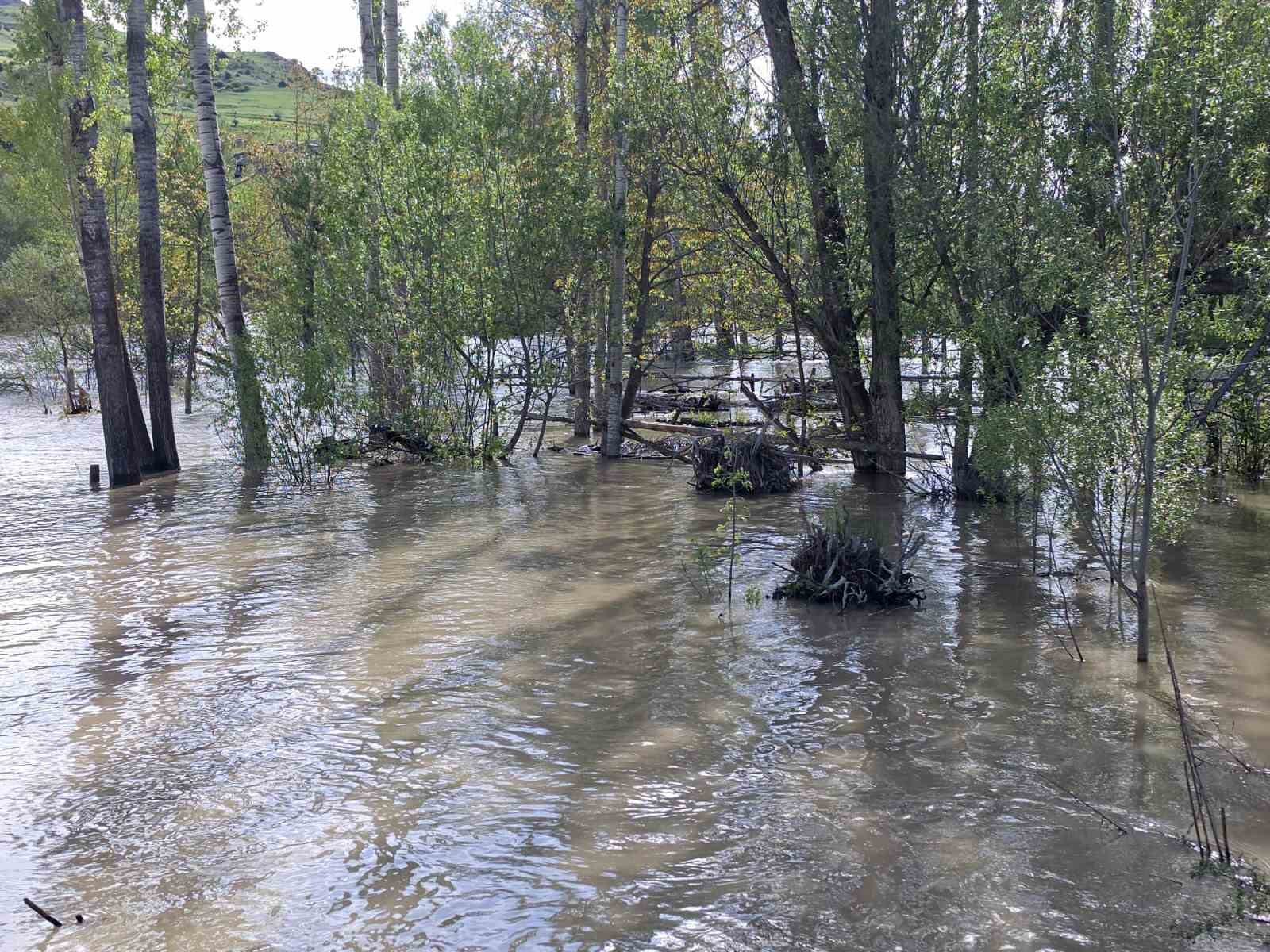 İspir&rsquo;de &Ccedil;oruh Vadisi&rsquo;nde karların erimesiyle su seviyesi y&uuml;kseldi, evler boşaltılıyor
