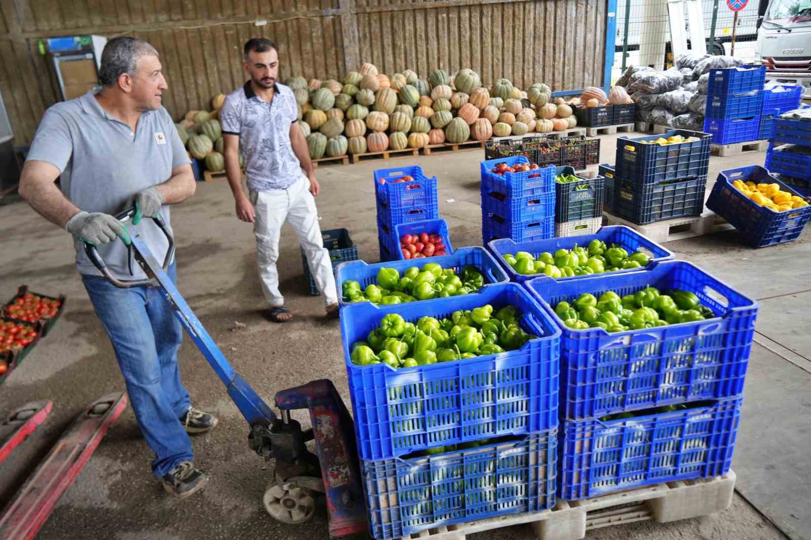 Domateste üretim planlaması fiyat dengesinin anahtarı