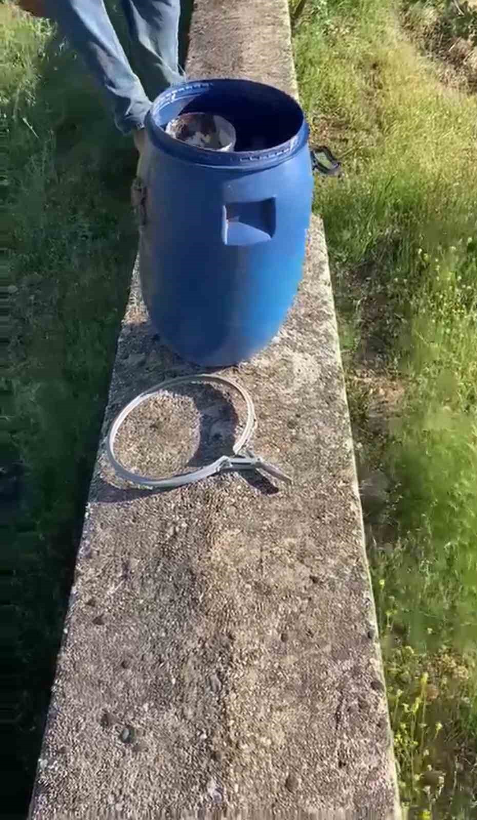 Plastik kutularda 21 cenin bulundu

