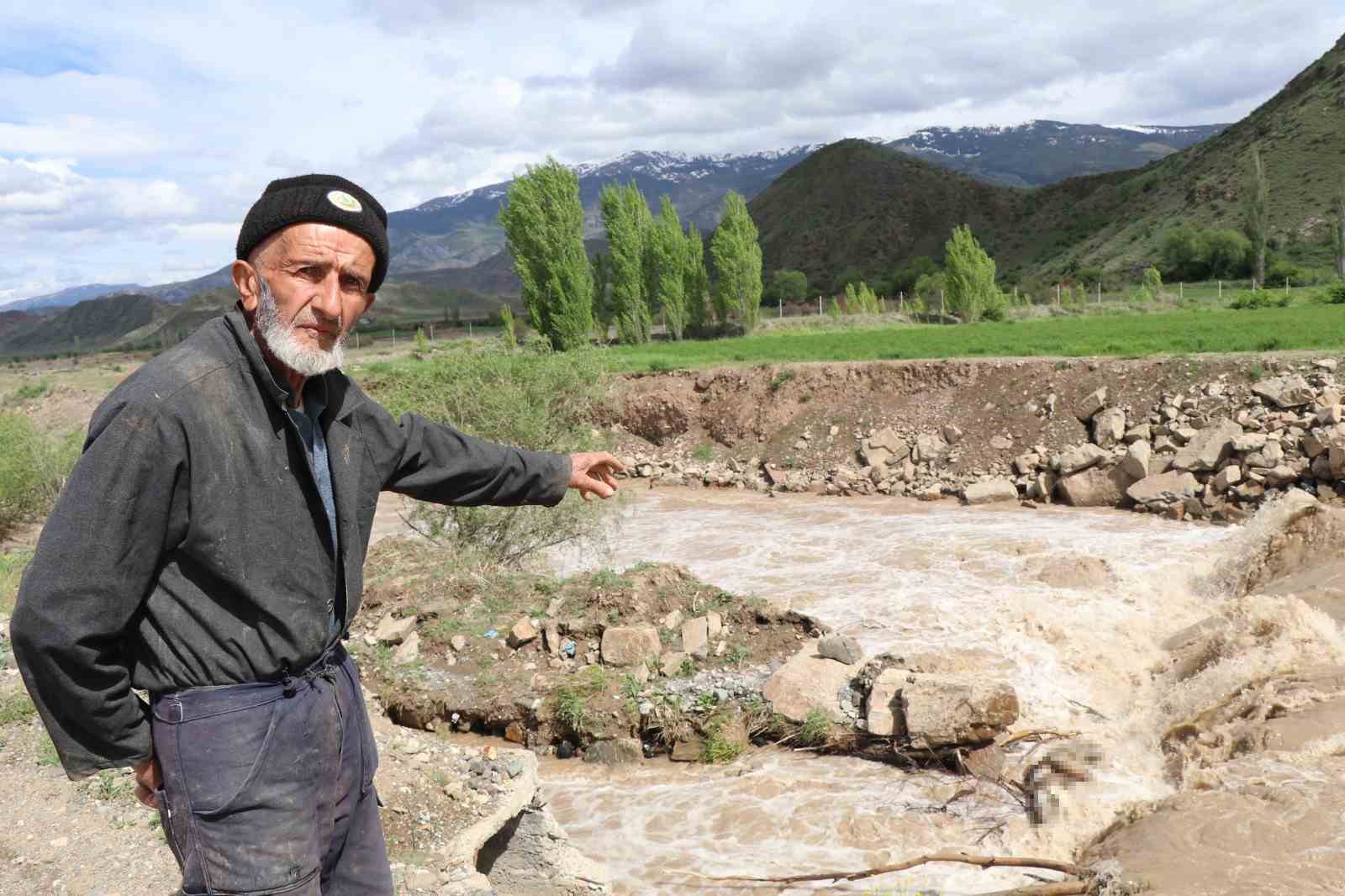 Erzurum&rsquo;da boz ayı Oltu &Ccedil;ayı&rsquo;nda telef oldu
