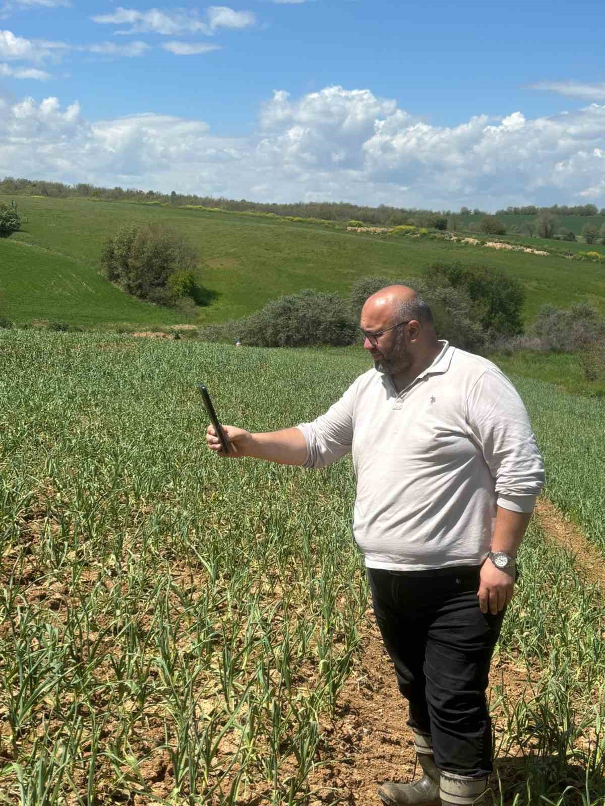 Dolu yağışı sonrası hasar alan sarımsak tarlalarında inceleme yapıldı
