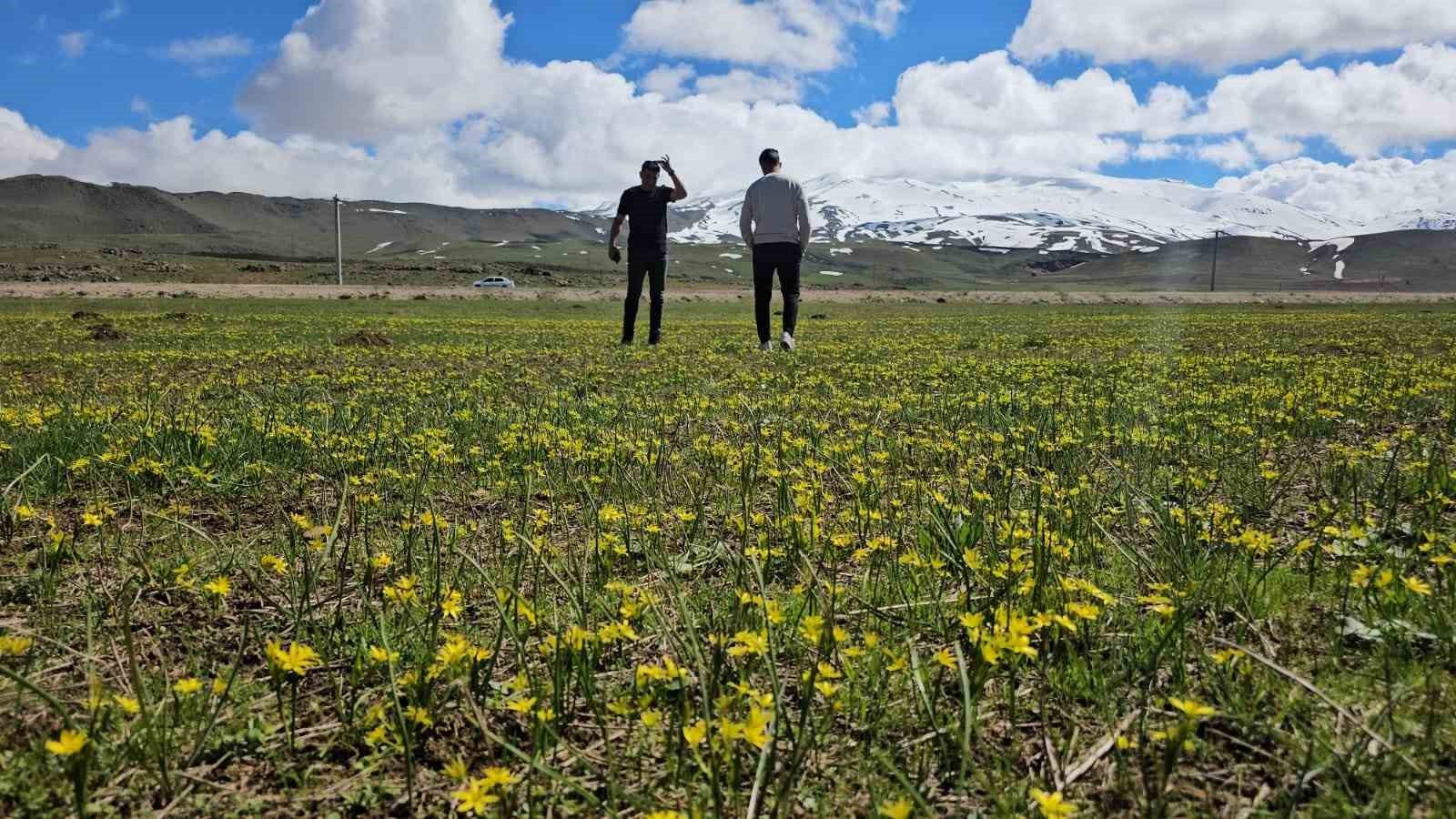 S&uuml;tey Yaylası&rsquo;nda baharın renk c&uuml;mb&uuml;ş&uuml;: G&ouml;l ve S&uuml;phan Dağı aynı karede
