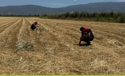 Aydın’da kuraklıkla mücadele çalışmaları sürüyor