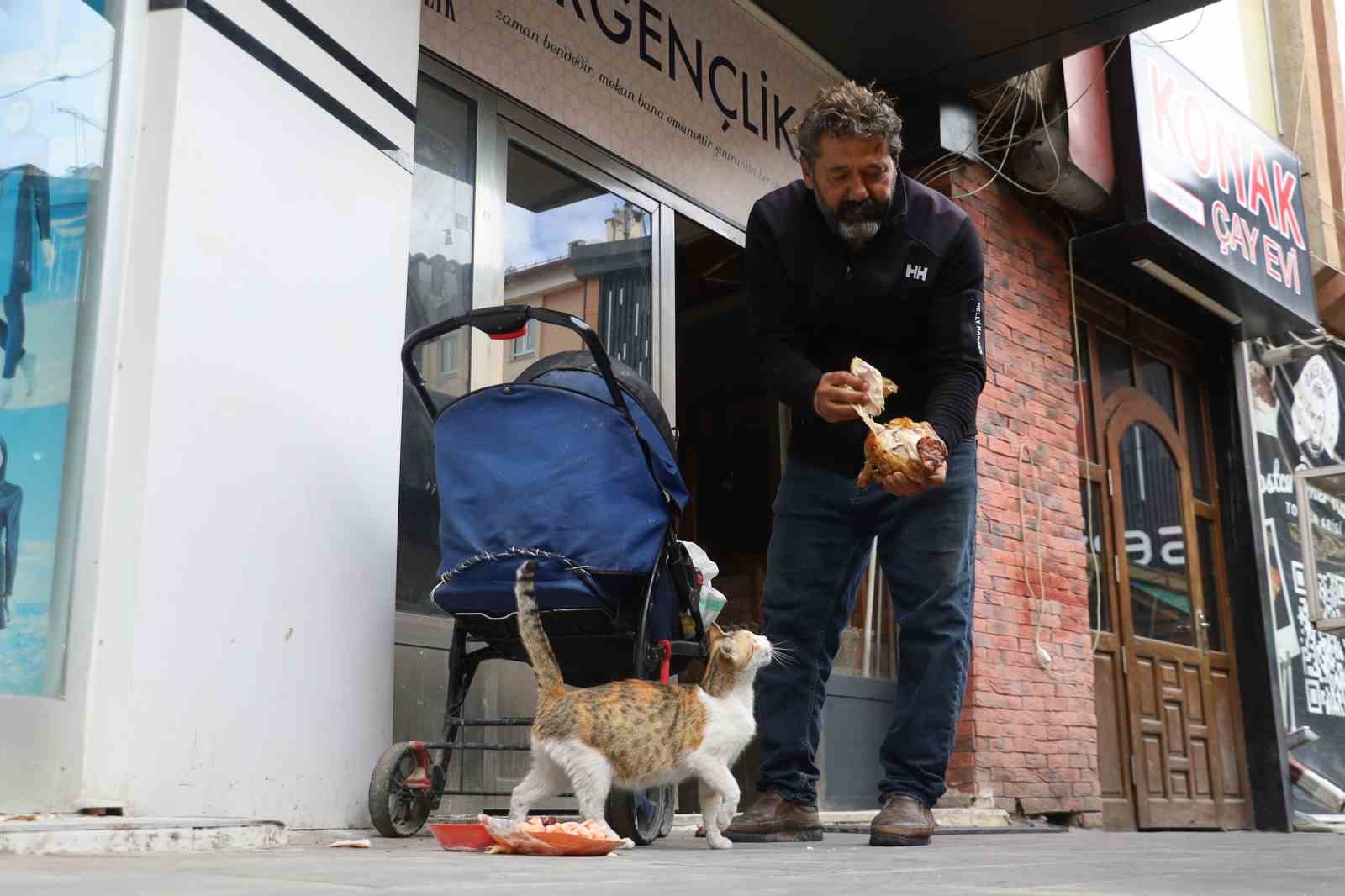 Anne kedinin ölen yavrusunun yaşaması için verdiği çaba duygulandırdı